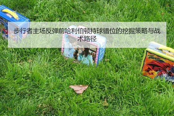 bu-xing-zhe-zhu-chang-fan-tan-qian-ha-li-bo-dun-chi-qiu-cuo-wei-de-wa-jue-ce-lve-yu-zhan-shu-lu-jing-2-822.jpg