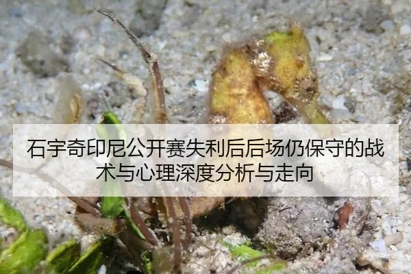 石宇奇印尼公开赛失利后后场仍保守的战术与心理深度分析与走向